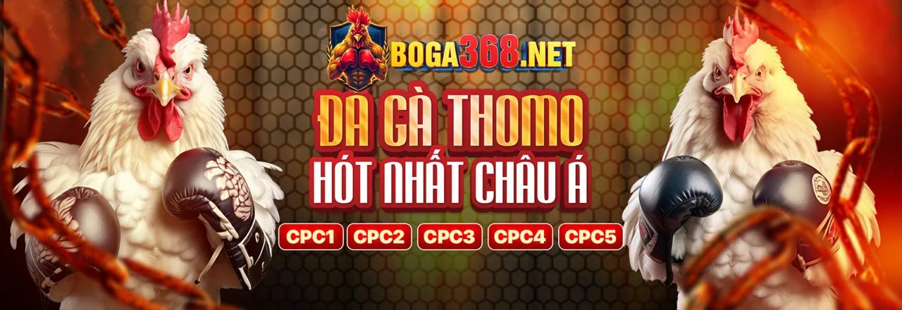 Đá gà trực tuyến kịch tính tại J9BET