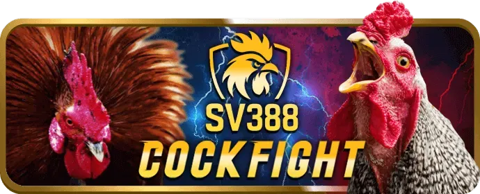 Hoàn trả cược j9bet